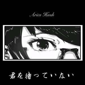 91孕妇精品一区二区三区
