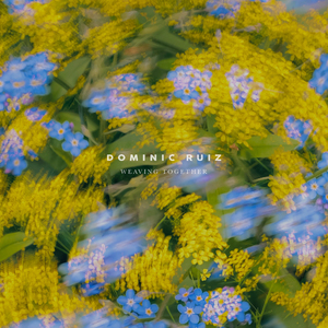 91孕妇精品一区二区三区
